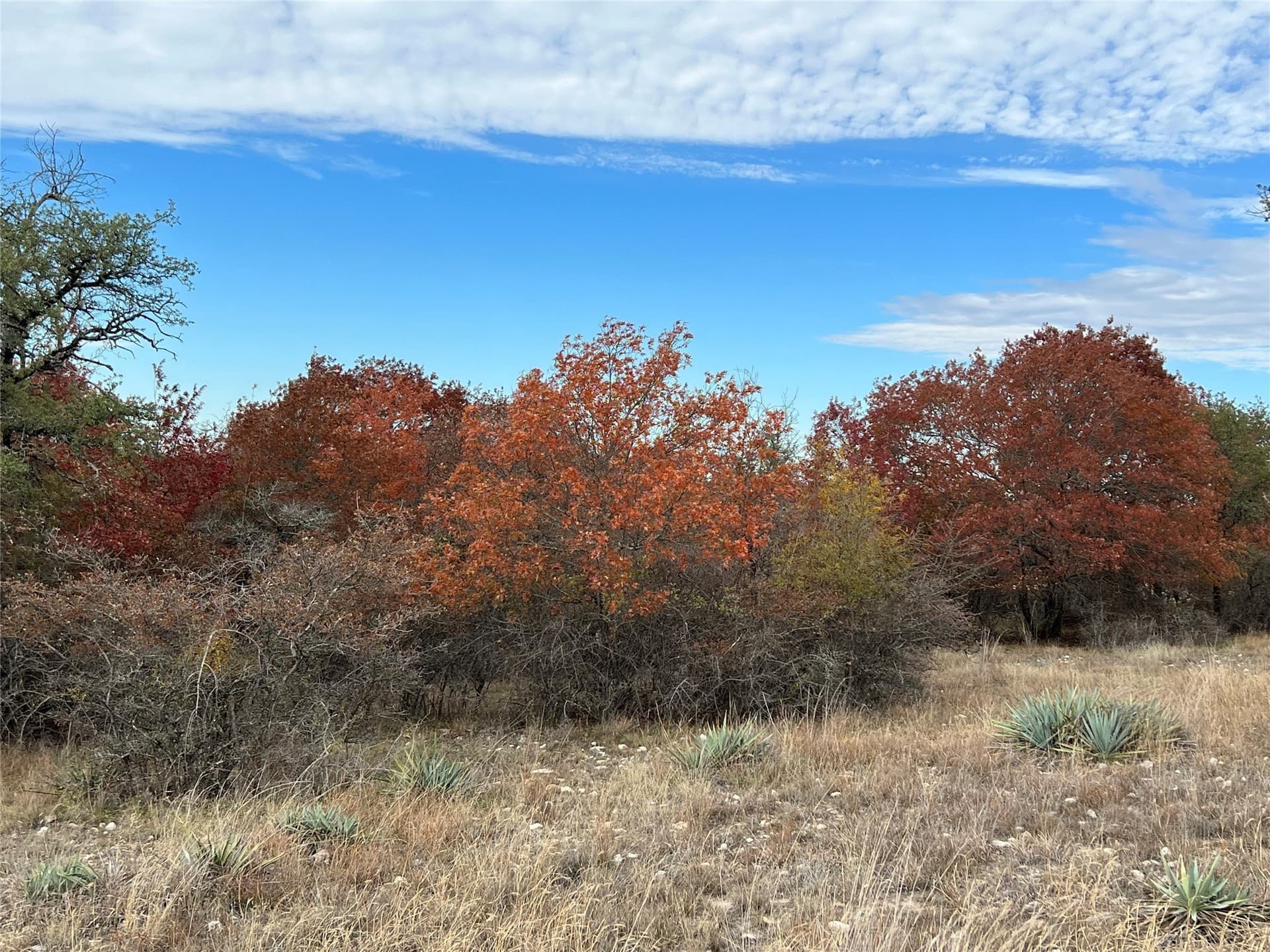 10.01 acres in Hamilton County - photo 8