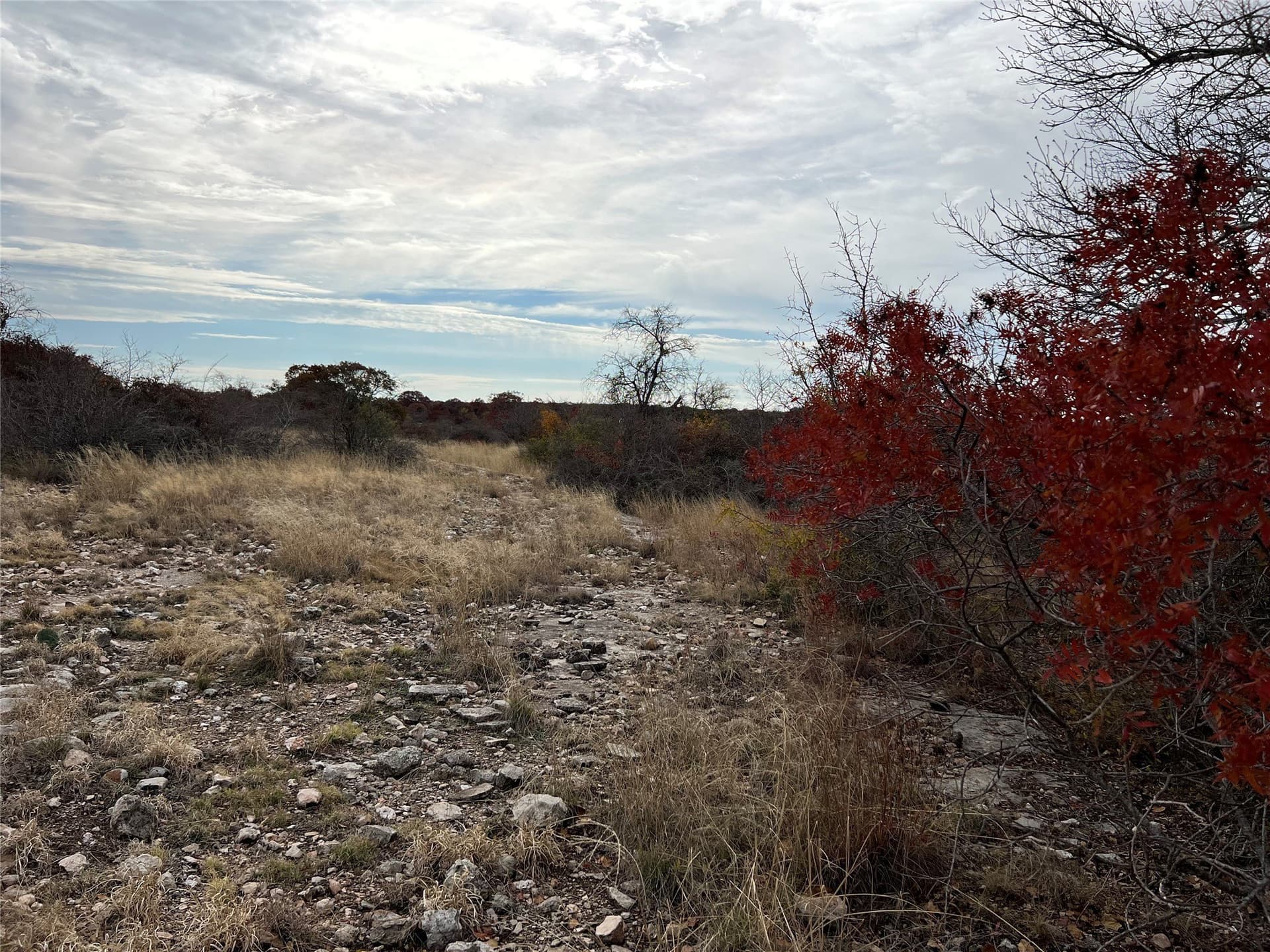 10.01 acres in Hamilton County - photo 9