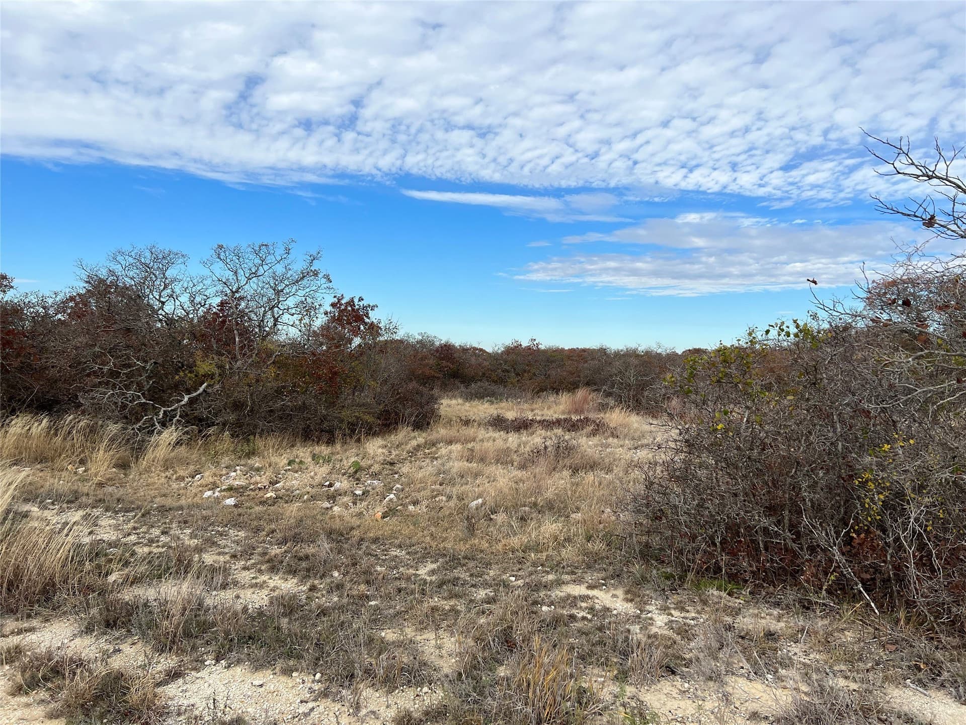 10.01 acres in Hamilton County - photo 13