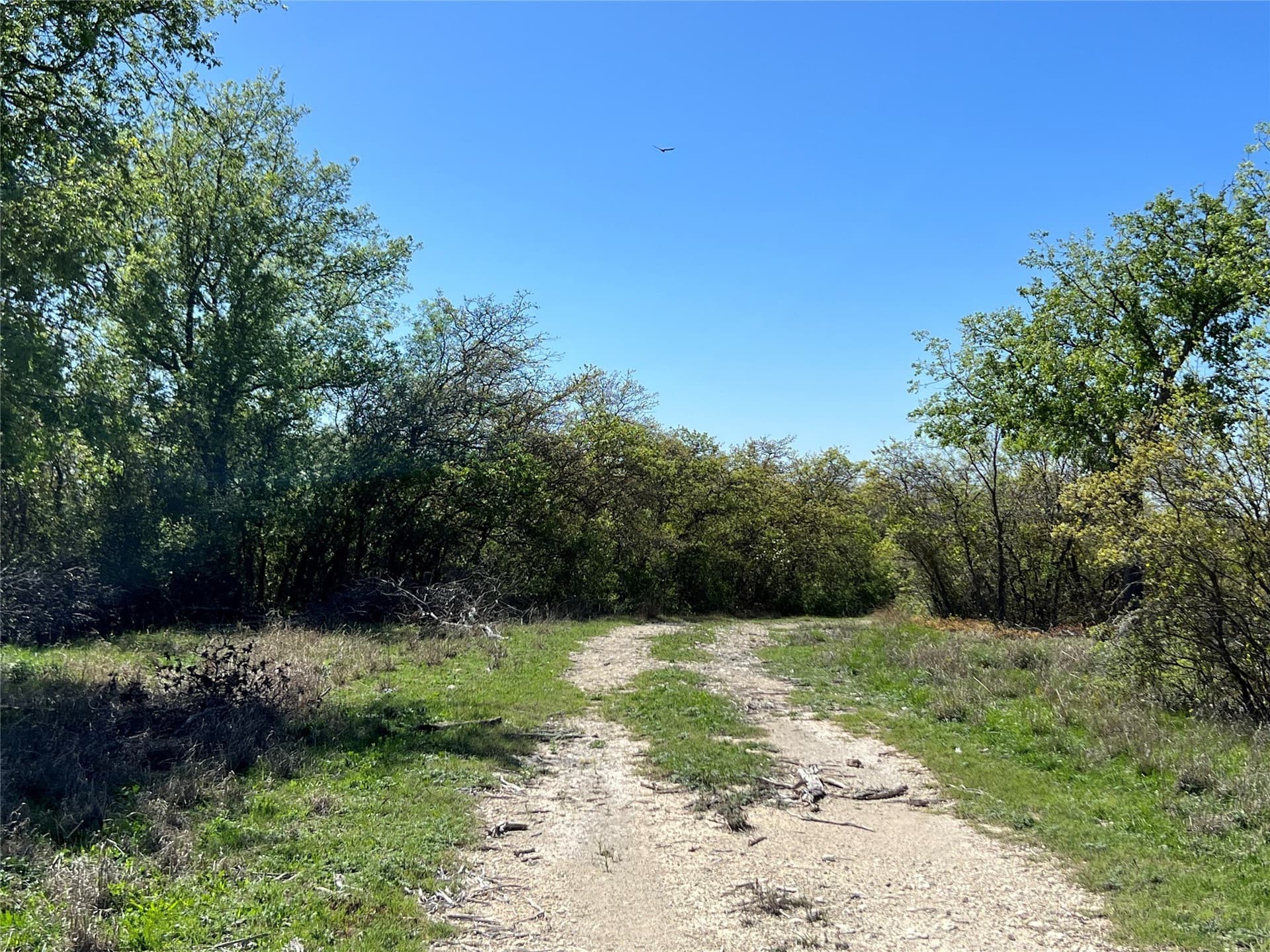 10.01 acres in Hamilton County - photo 27