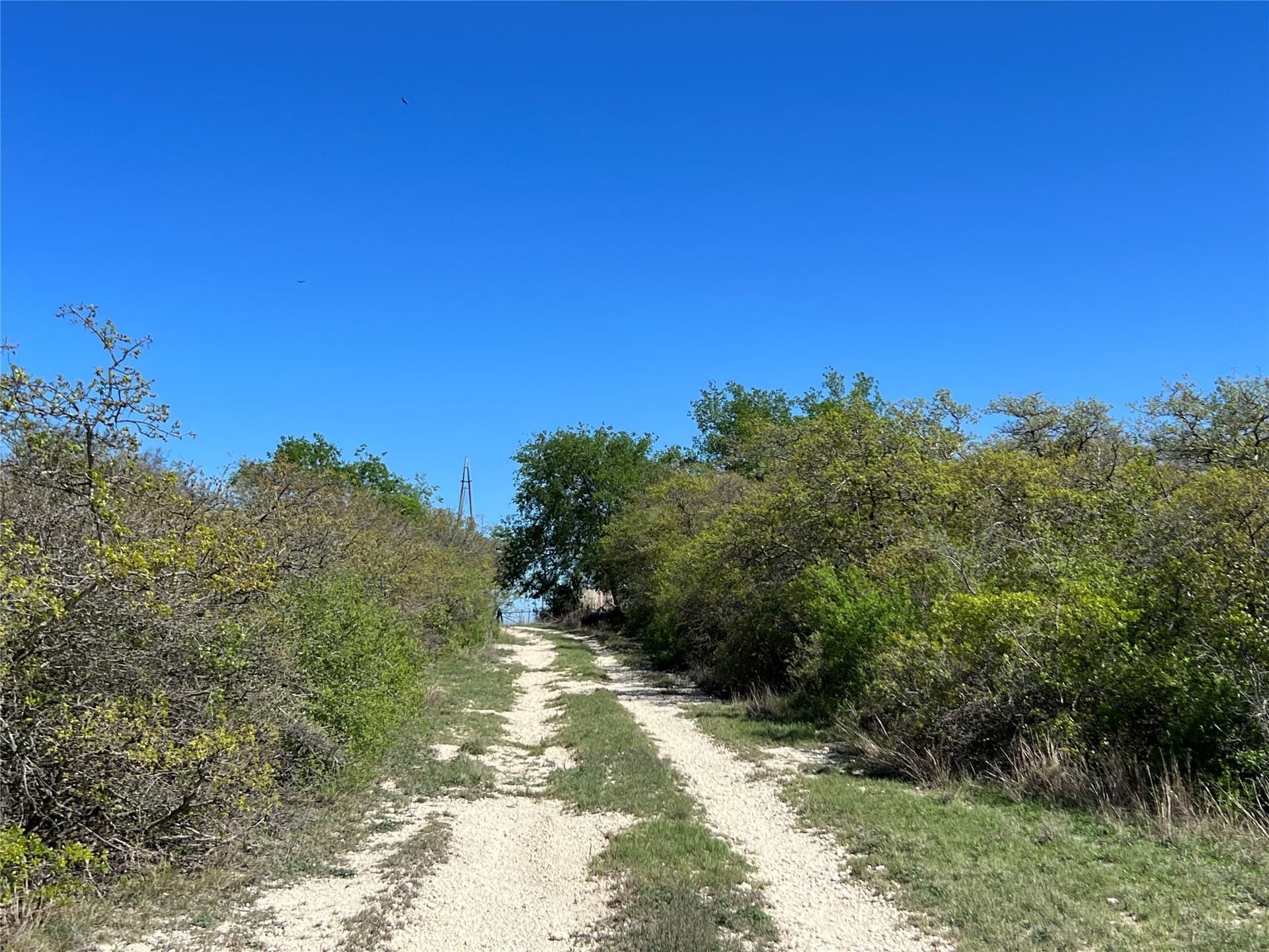 10.01 acres in Hamilton County - photo 10