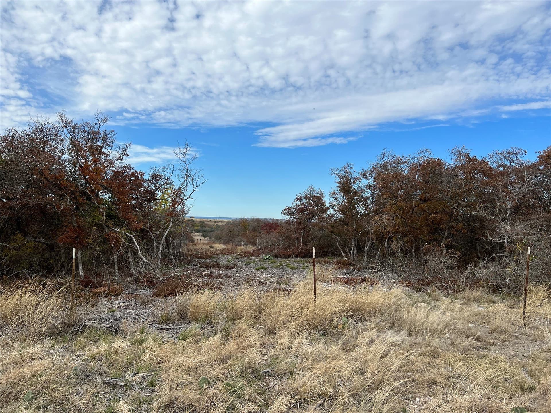 10.01 acres in Hamilton County - photo 25