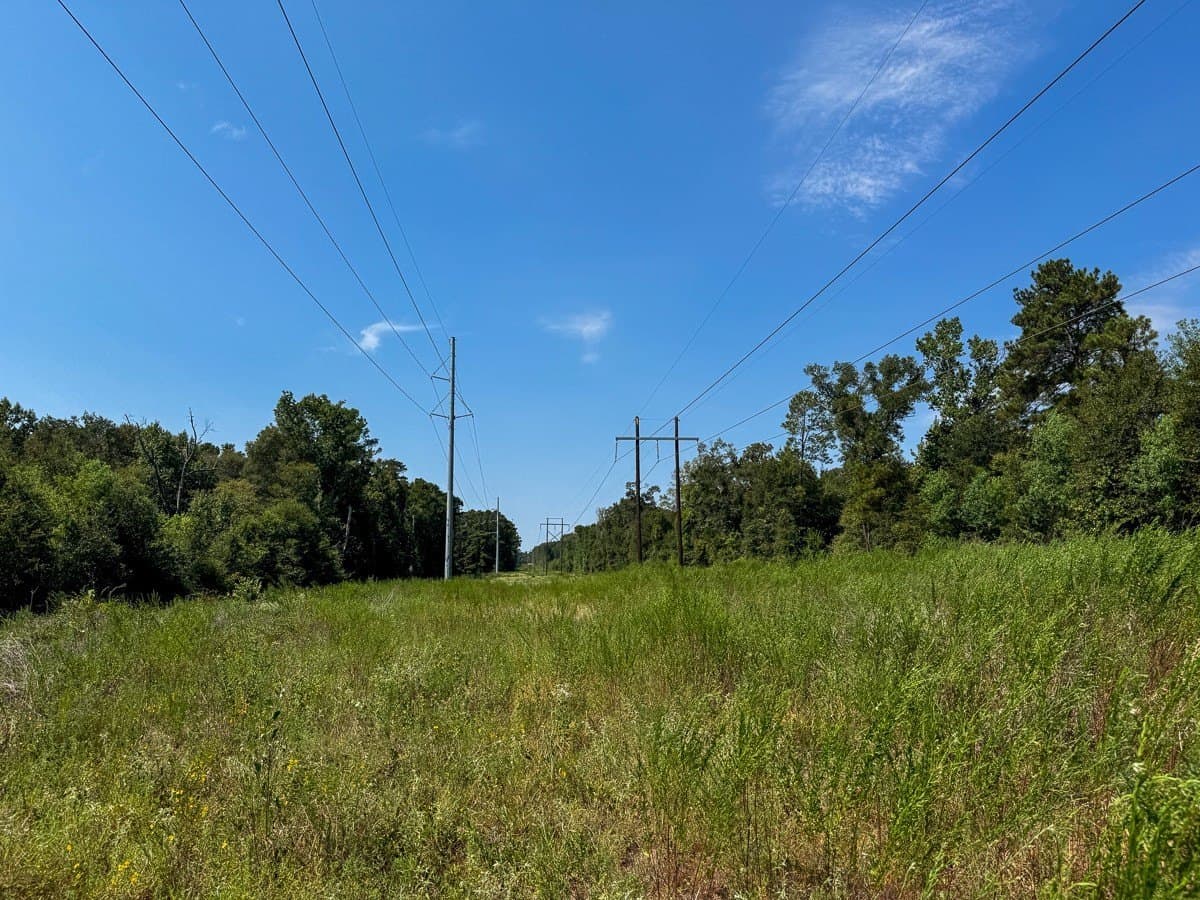 24.87 acres in Walker County - photo 20