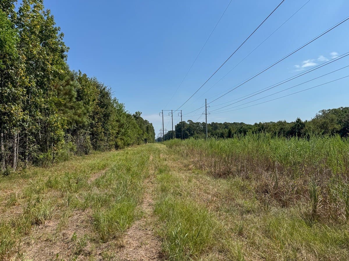 24.87 acres in Walker County - photo 15