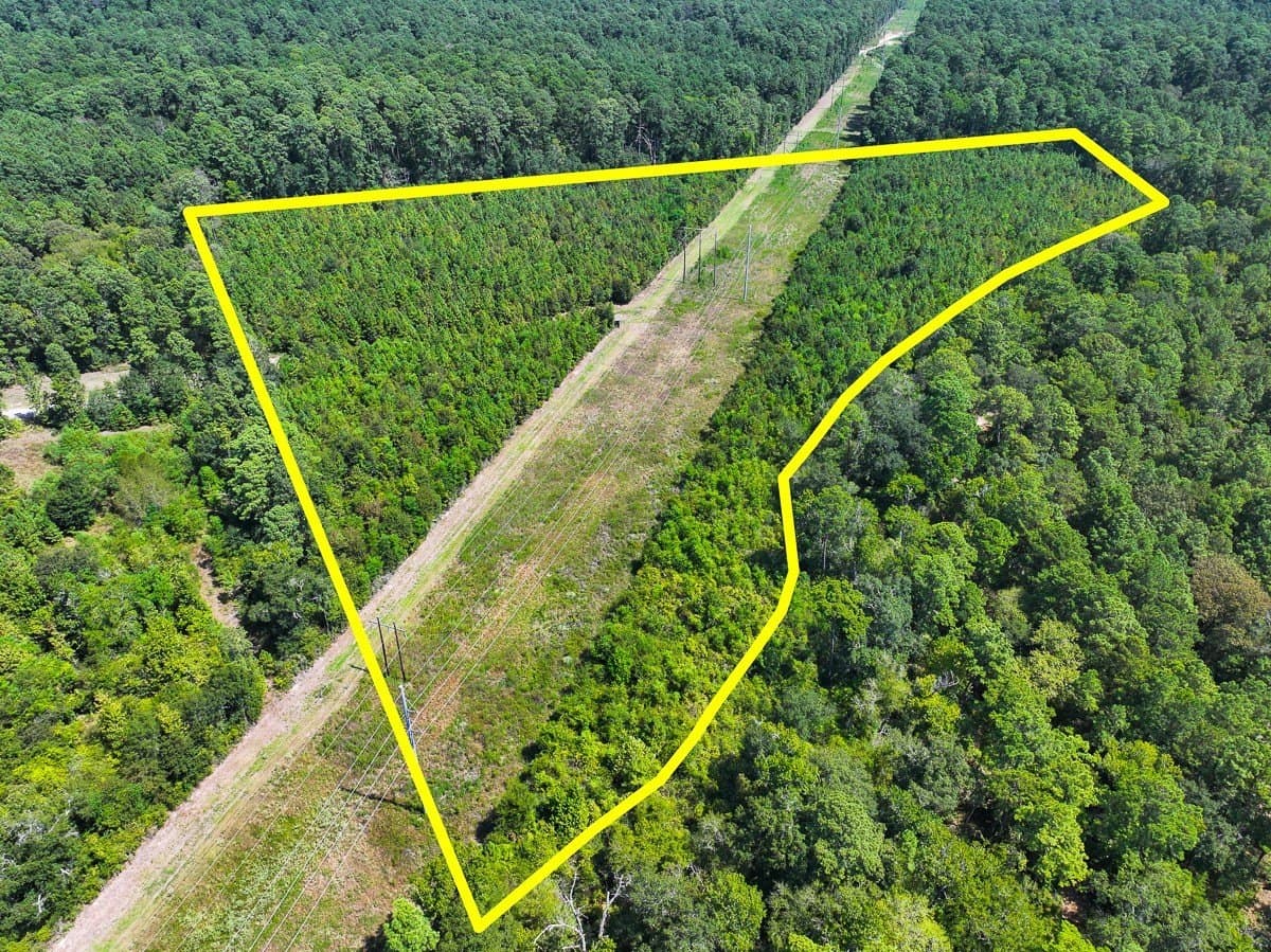 24.87 acres in Walker County - photo 27