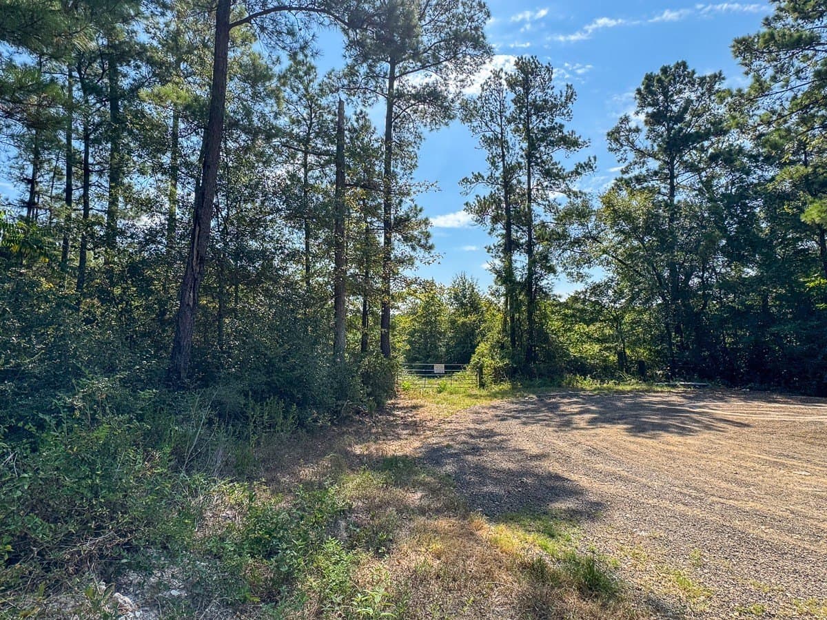 24.87 acres in Walker County - photo 4