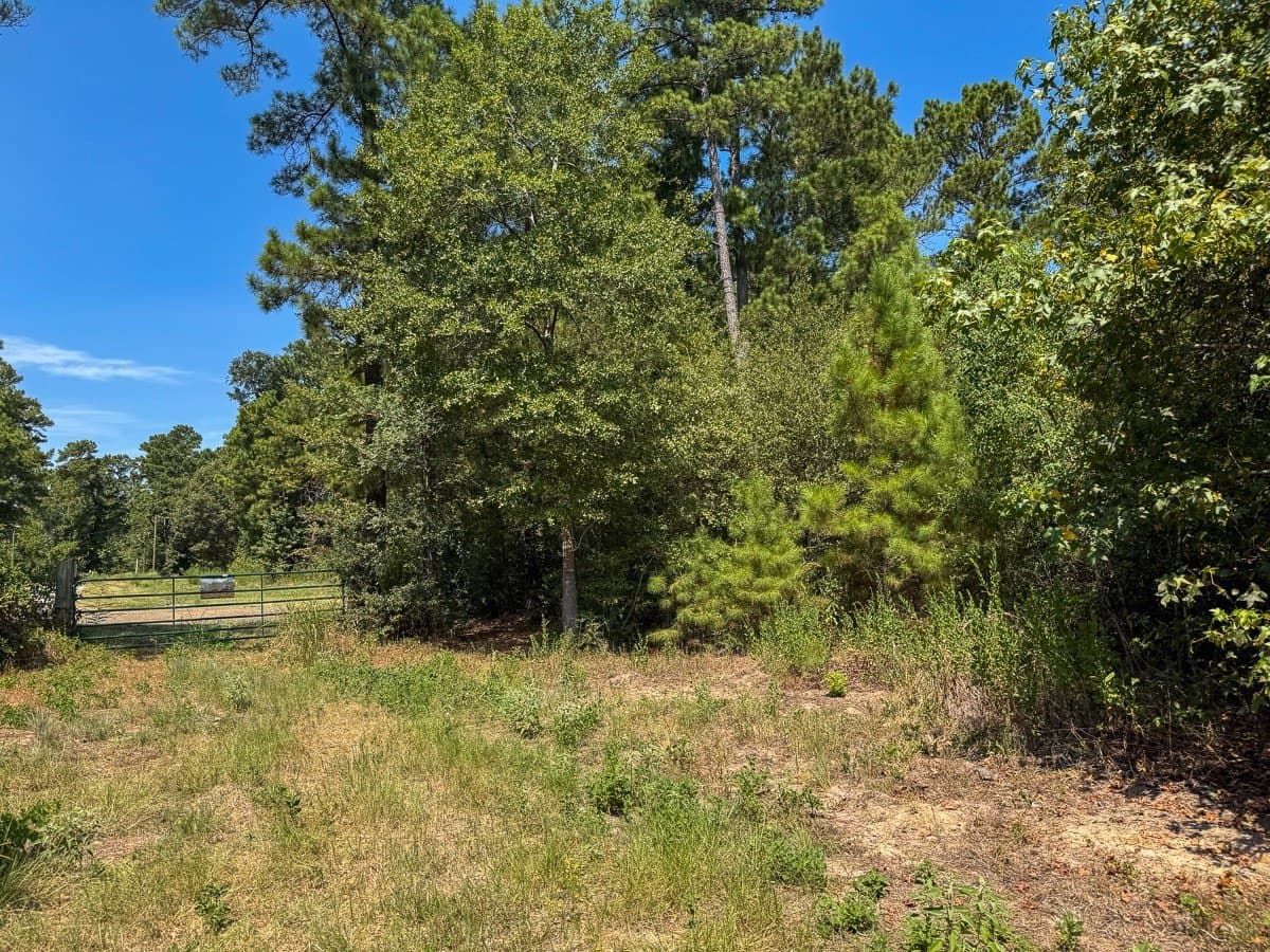 24.87 acres in Walker County - photo 23