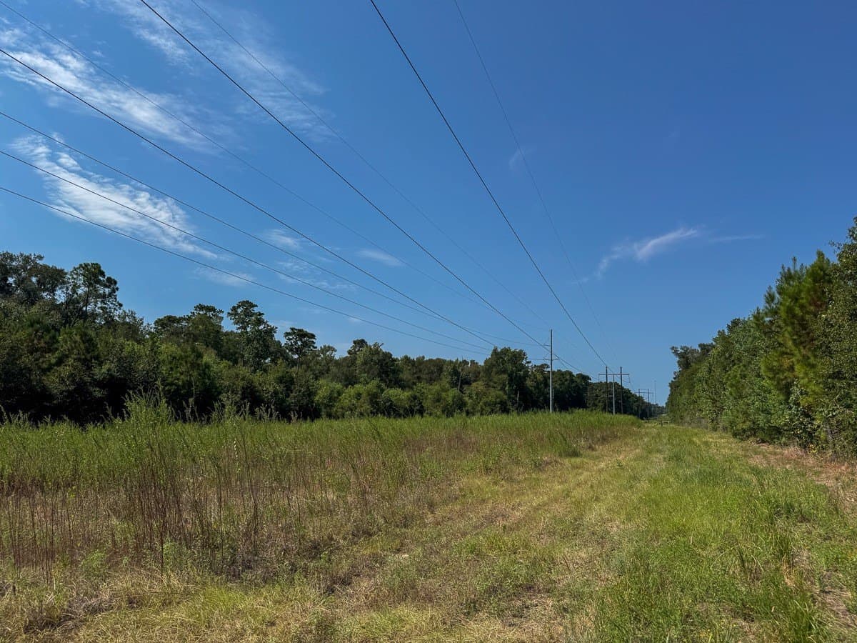 24.87 acres in Walker County - photo 12