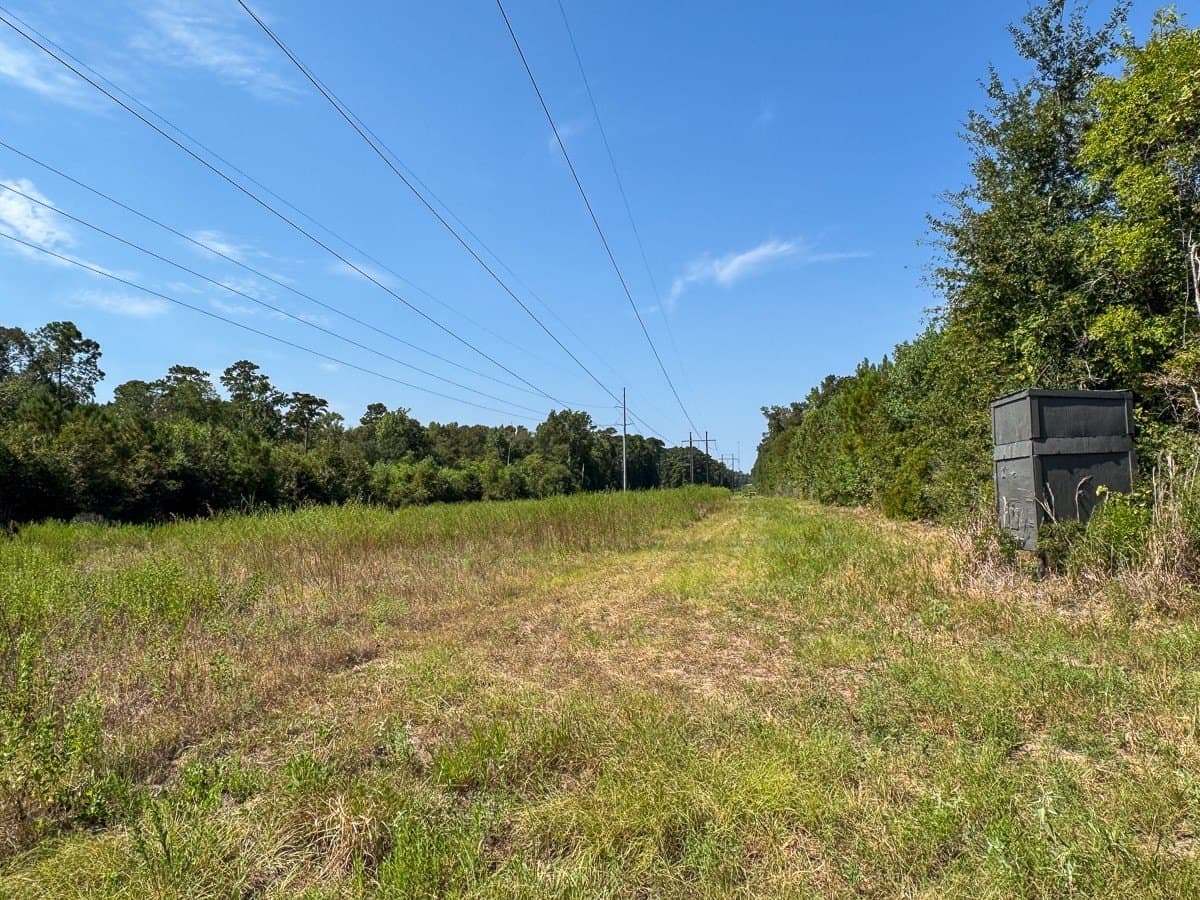24.87 acres in Walker County - photo 11