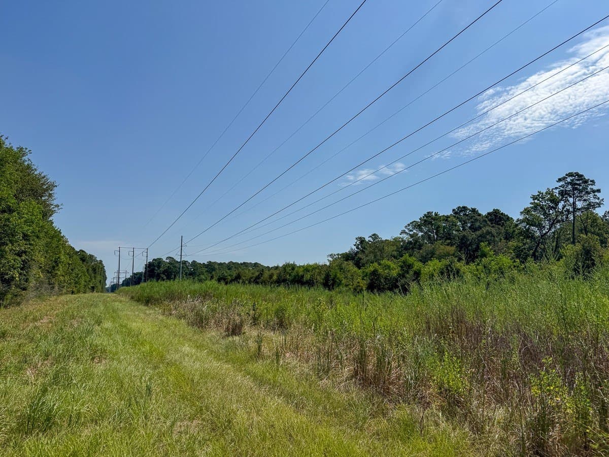 24.87 acres in Walker County - photo 14