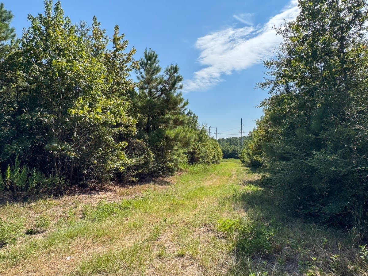 24.87 acres in Walker County - photo 7