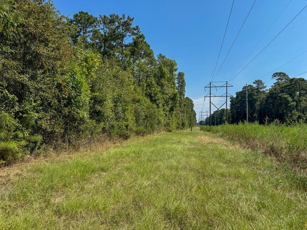 24.87 acres in Walker County - photo 17