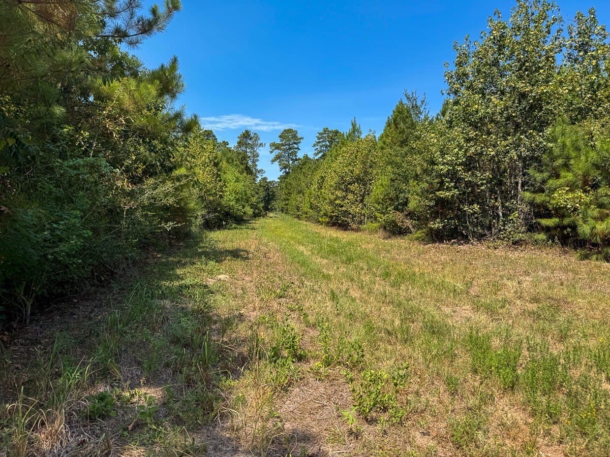 24.87 acres in Walker County - photo 22