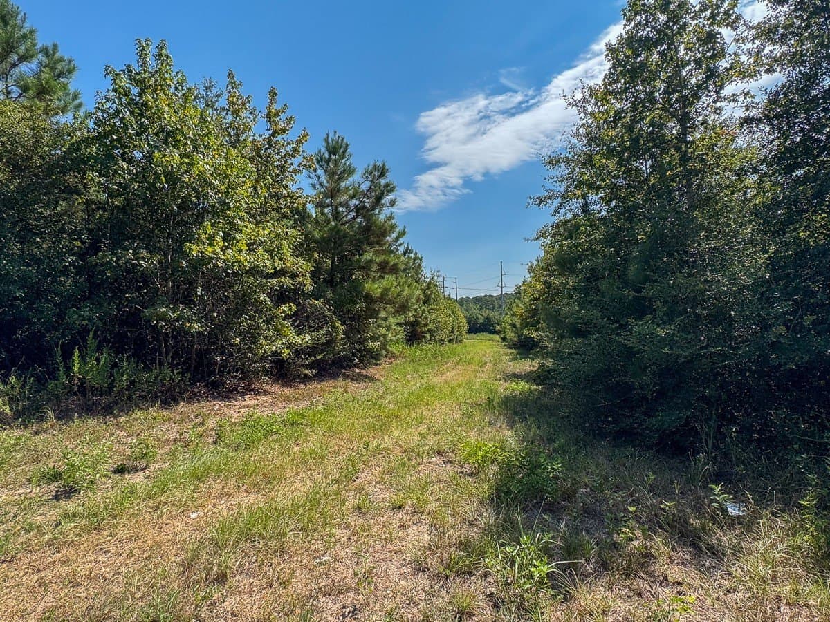24.87 acres in Walker County - photo 6