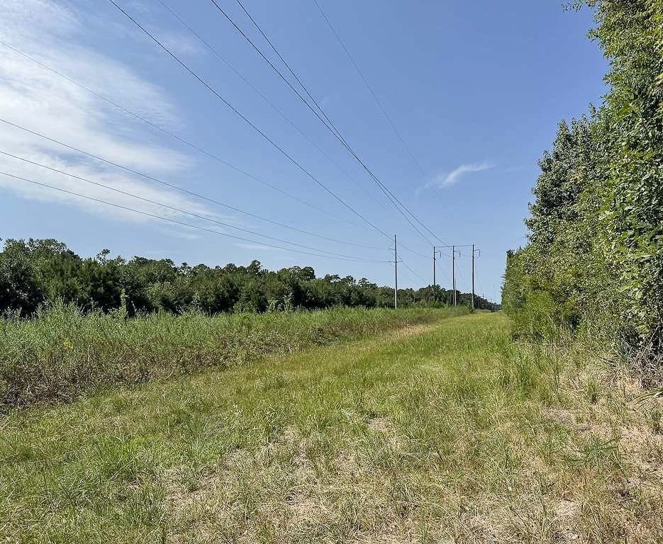 24.87 acres in Walker County - photo 26
