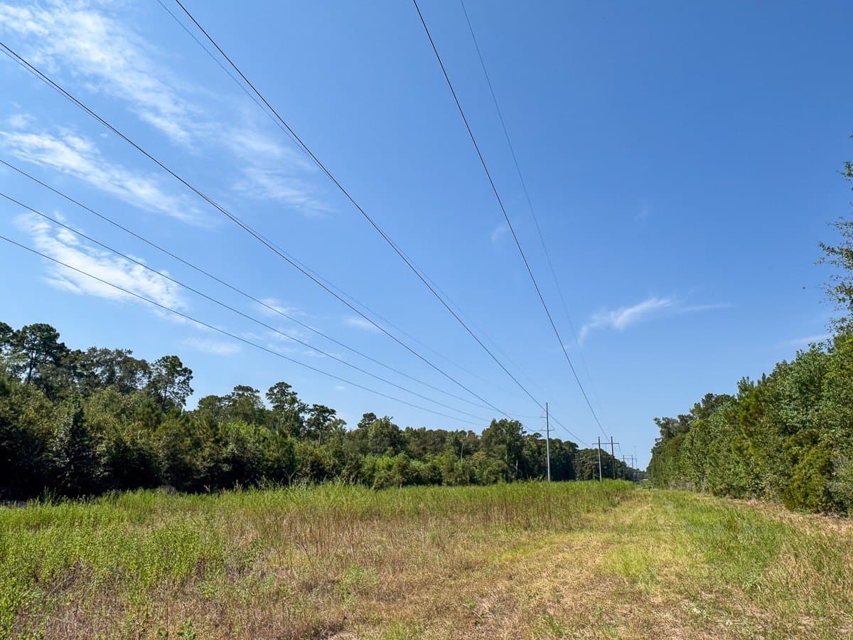 24.87 acres in Walker County - photo 10