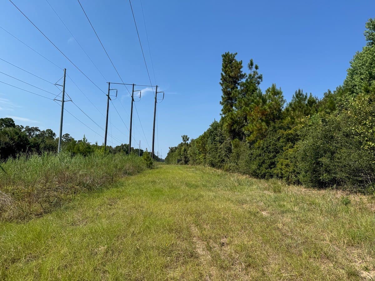 24.87 acres in Walker County - photo 18
