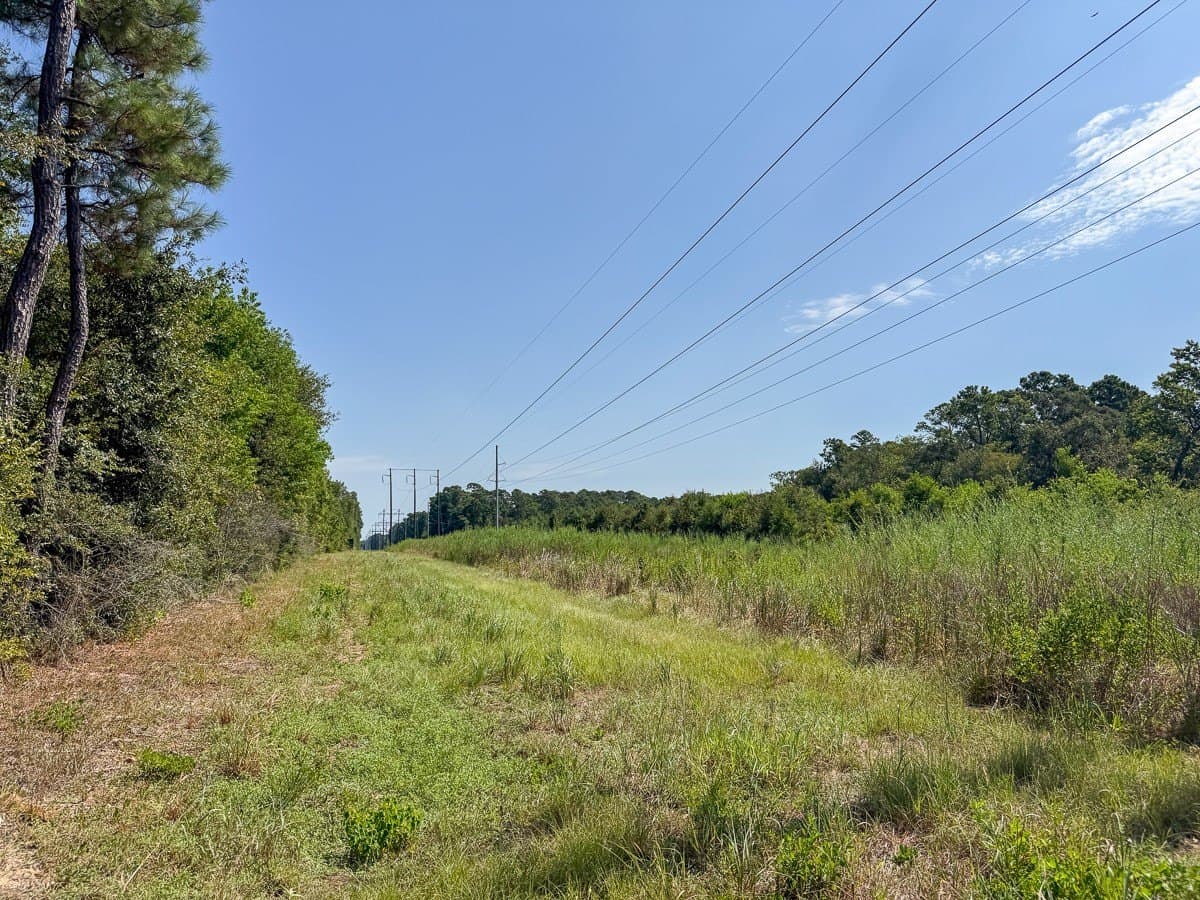 24.87 acres in Walker County - photo 13