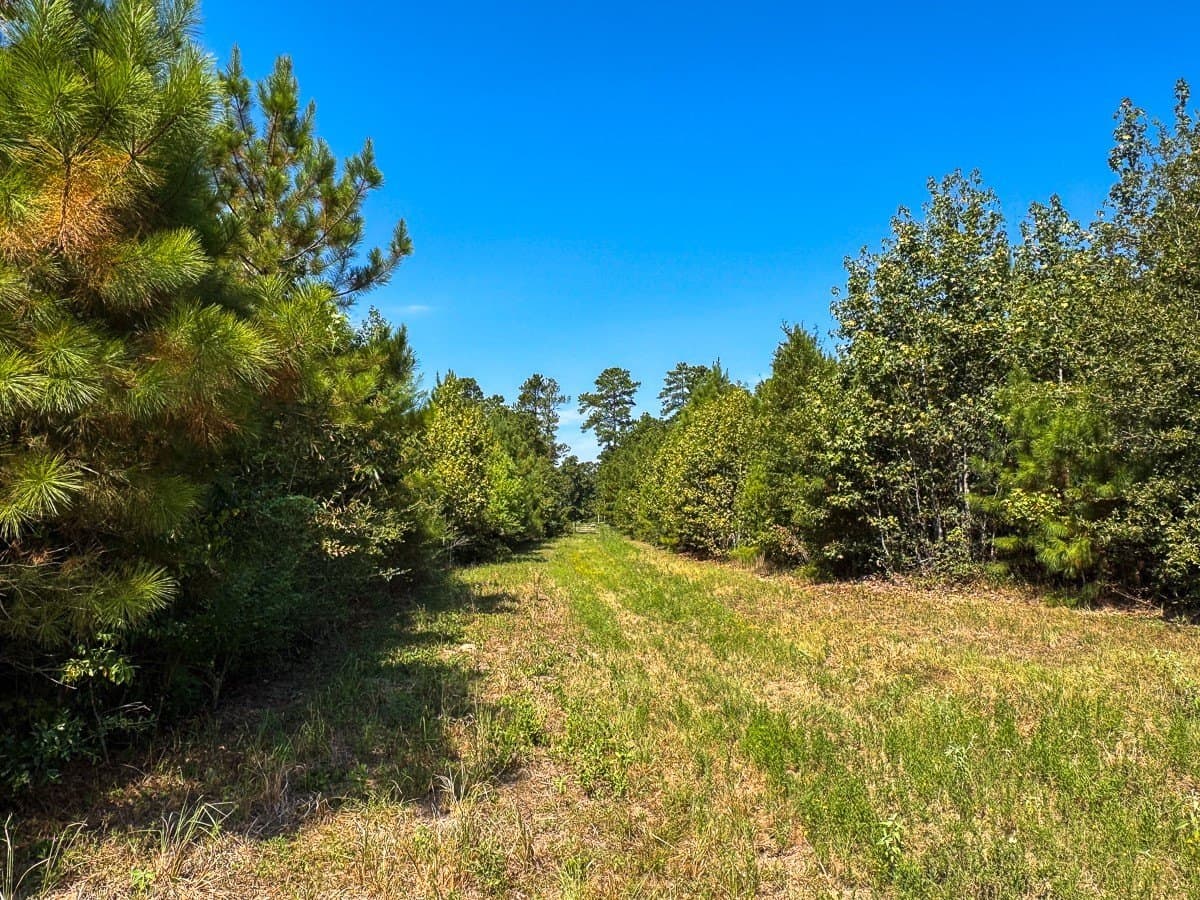 24.87 acres in Walker County - photo 9