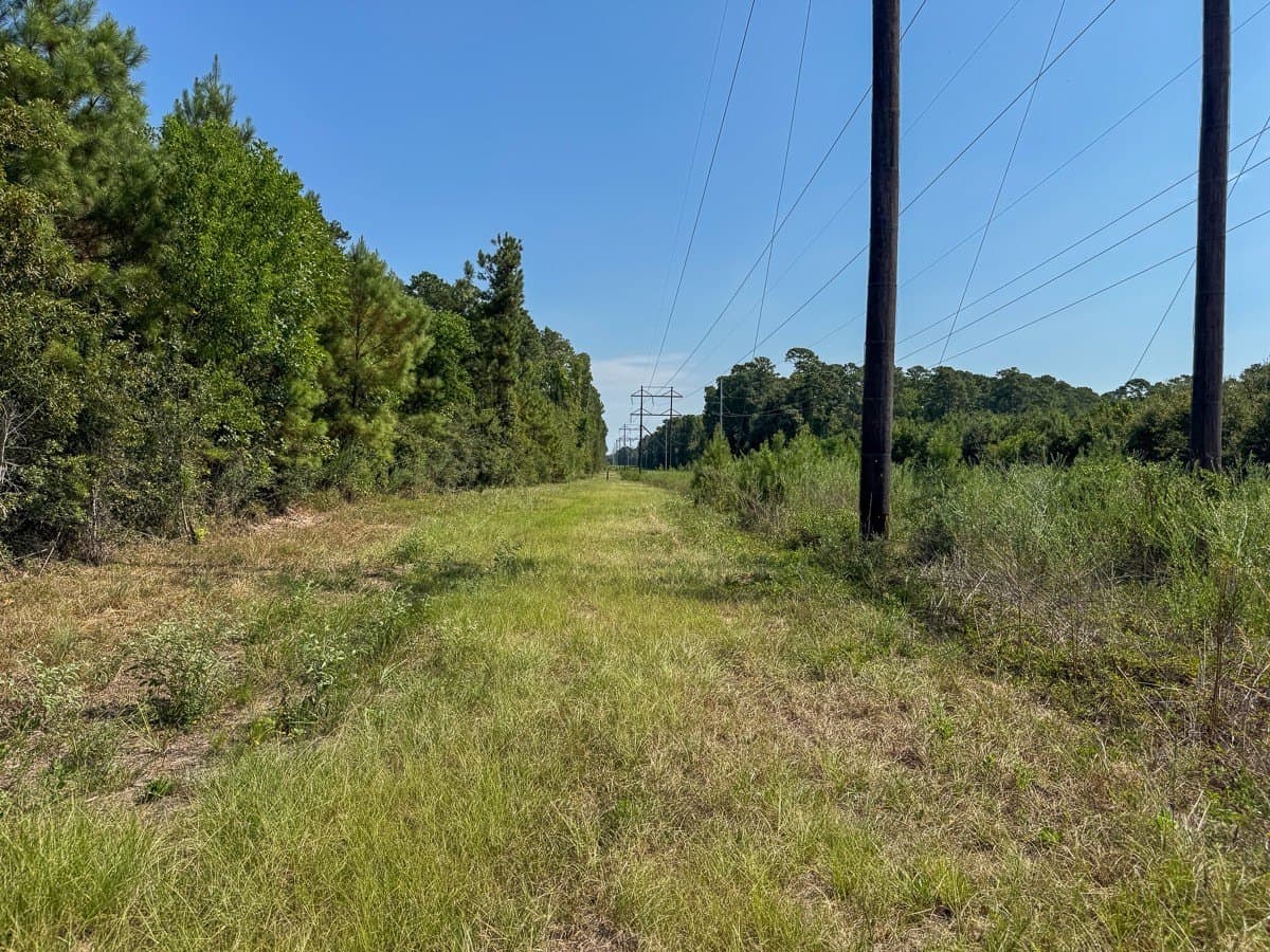 24.87 acres in Walker County - photo 16