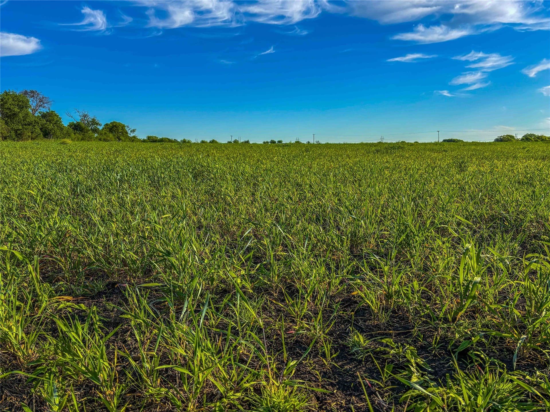 78.7 acres in McLennan County - photo 25