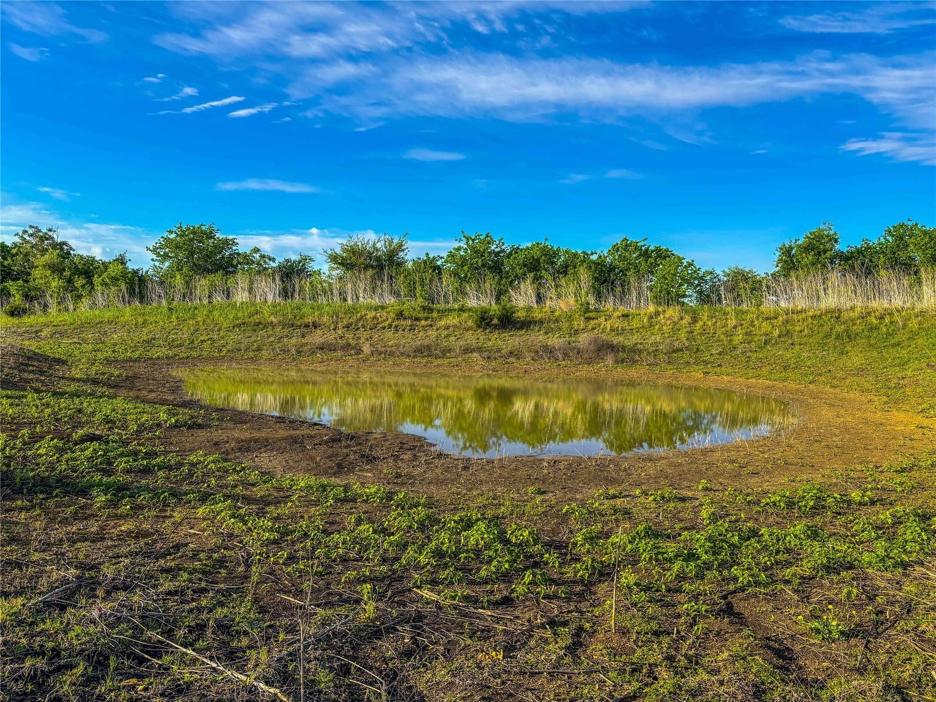 78.7 acres in McLennan County - photo 23