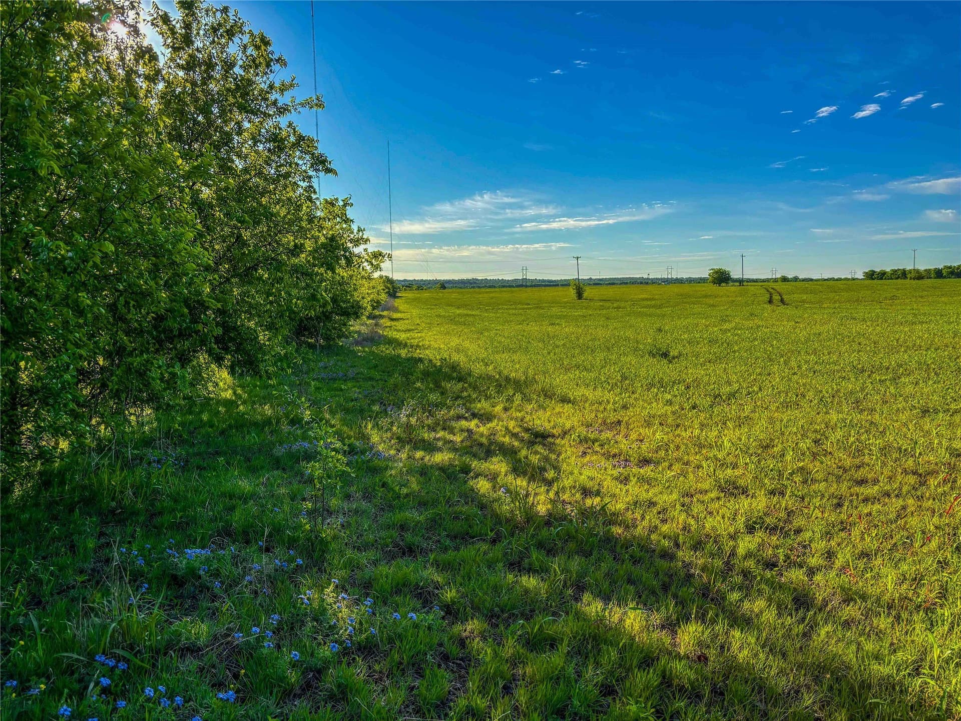 78.7 acres in McLennan County - photo 24