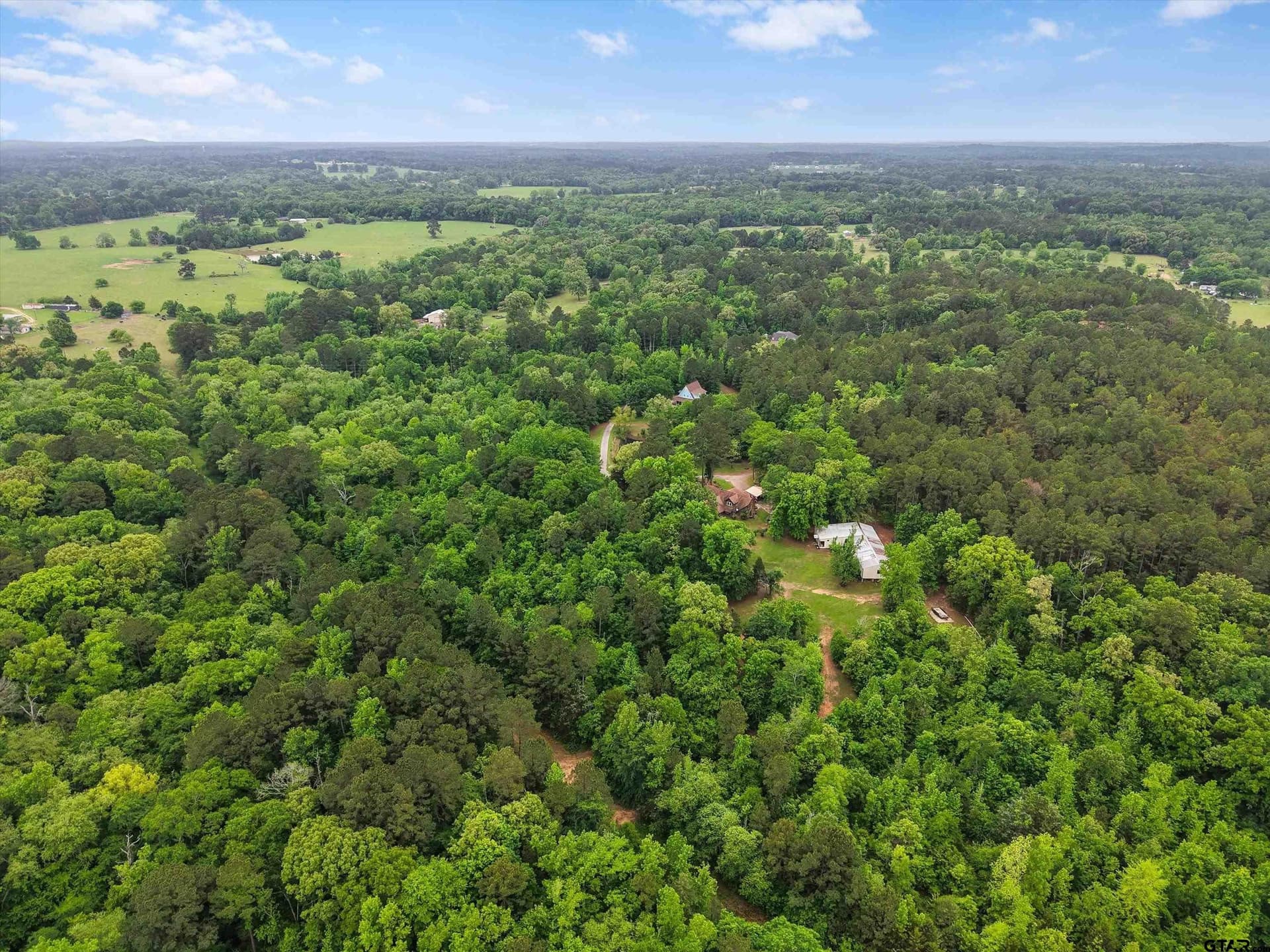 19.05 acres in Upshur County gallery image 4