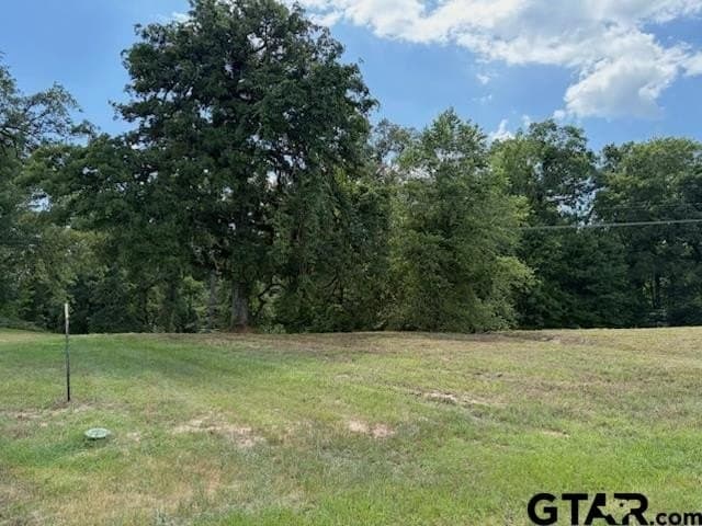 1.74 acres in Upshur County gallery image 4