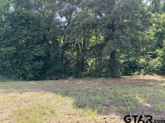 1.74 acres in Upshur County gallery image 2