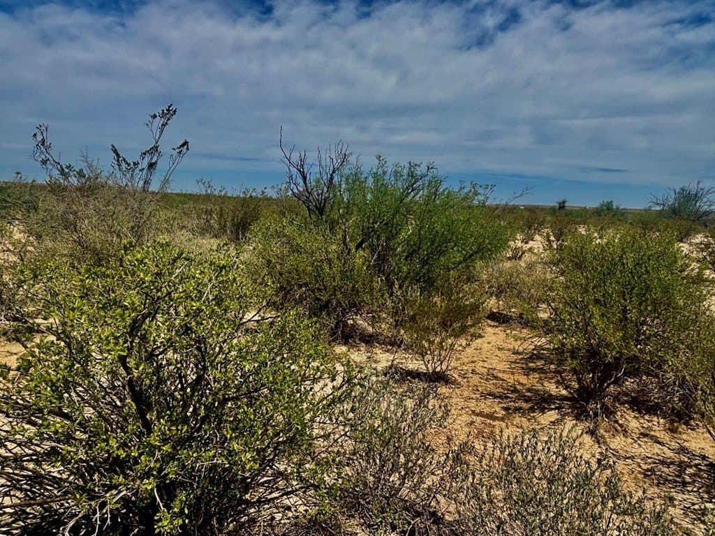 5 acres in Brewster County - photo 14