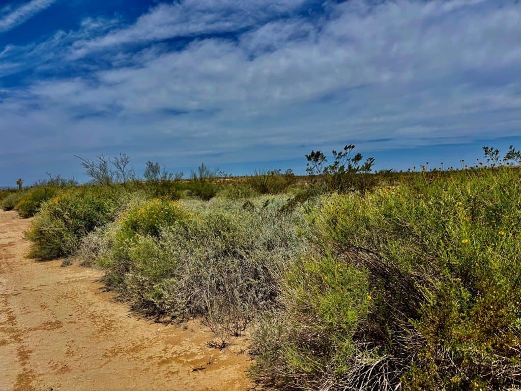 5 acres in Brewster County featured view
