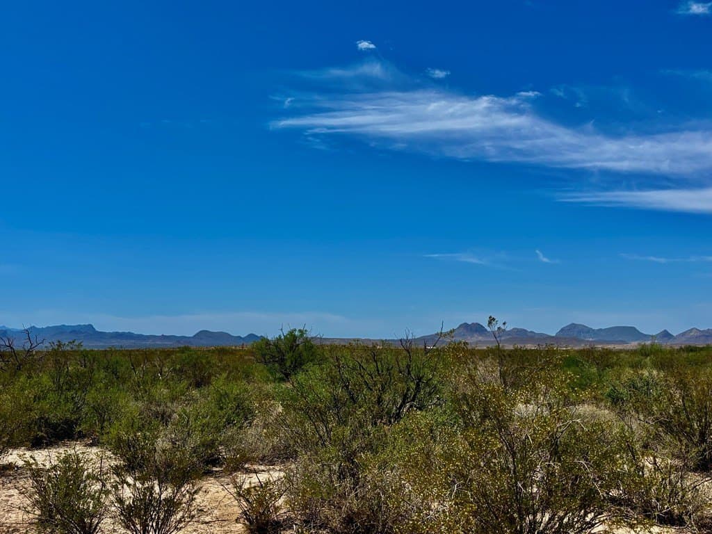 5 acres in Brewster County - photo 28