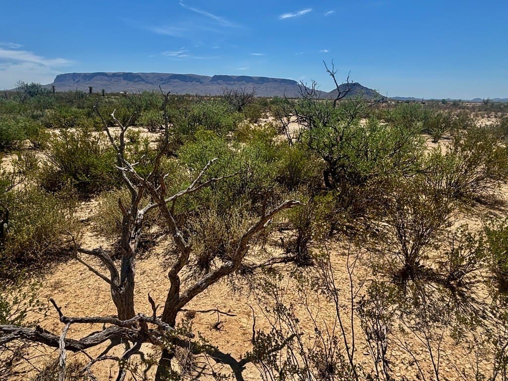 5 acres in Brewster County - photo 16