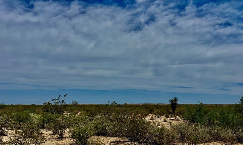 5 acres in Brewster County - photo 21