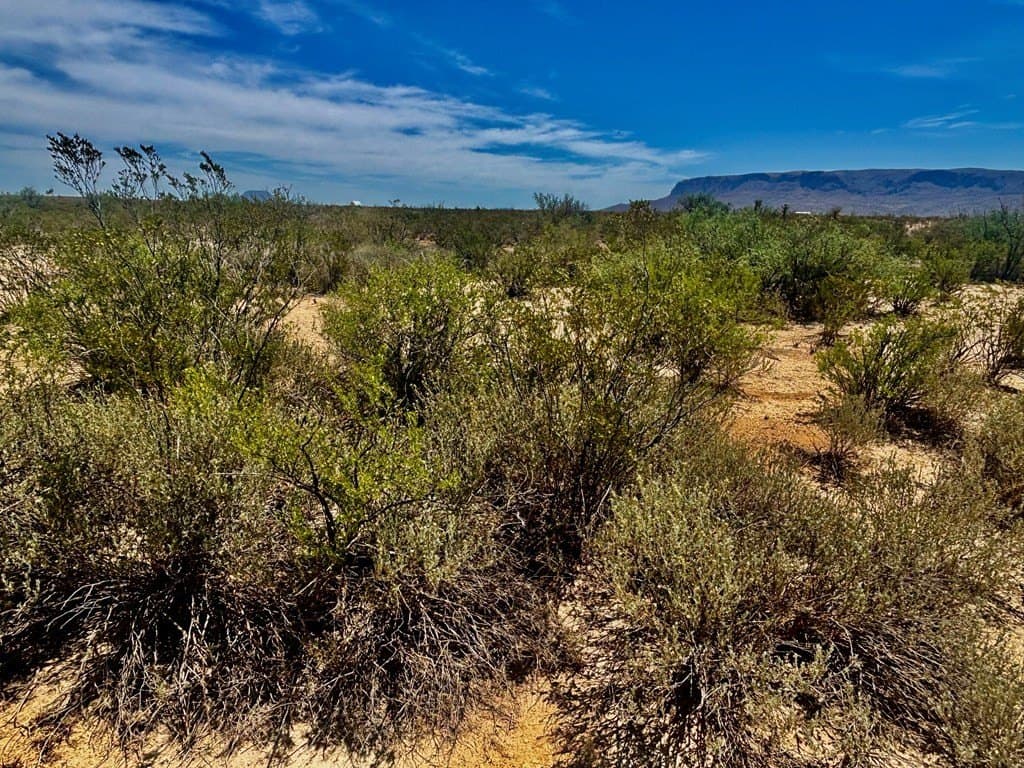 5 acres in Brewster County - photo 11