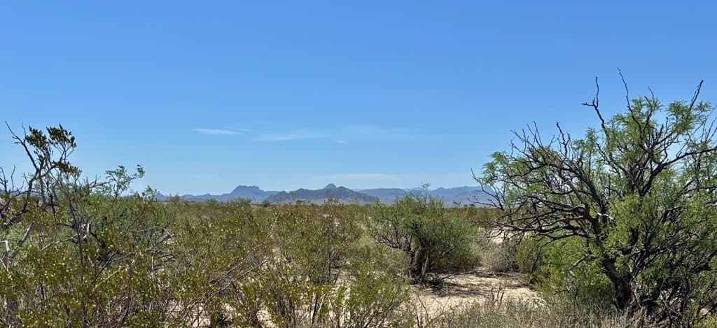 5 acres in Brewster County - photo 15