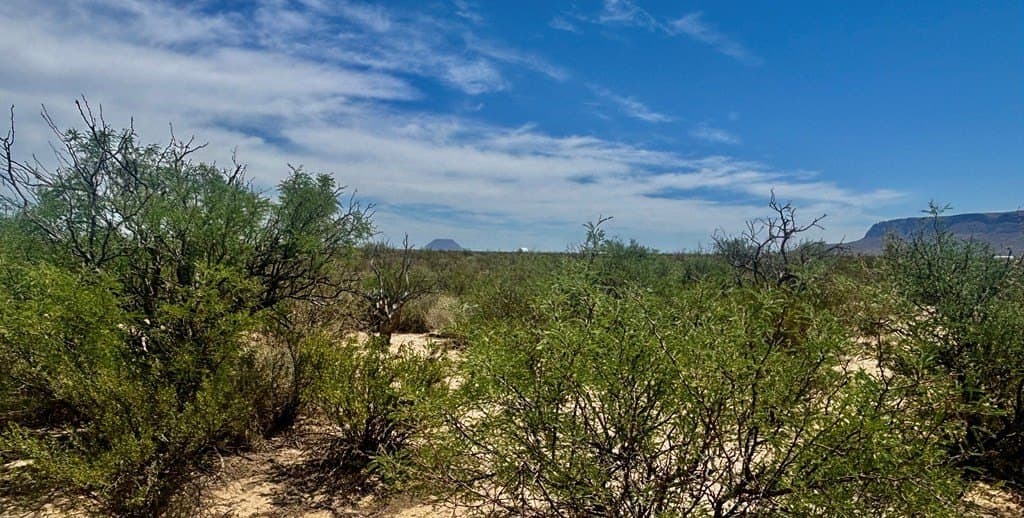 5 acres in Brewster County - photo 6