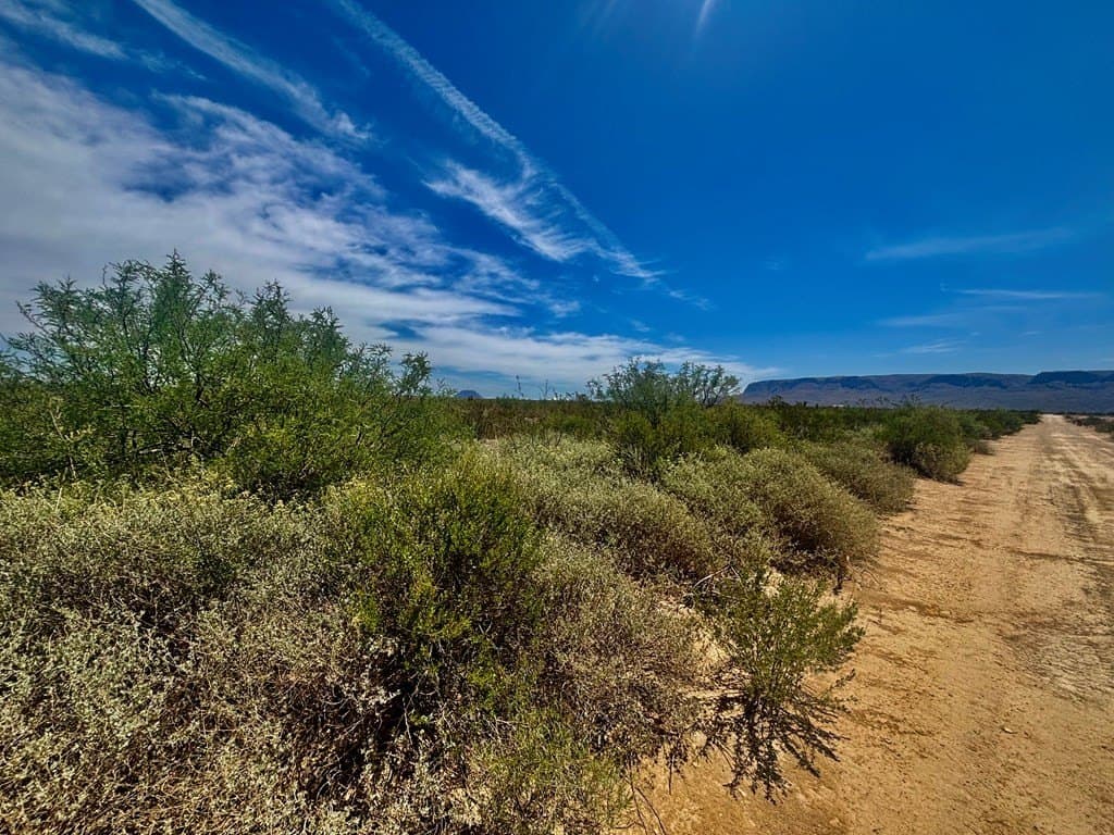 5 acres in Brewster County - photo 22