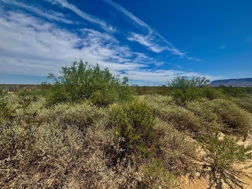 5 acres in Brewster County - photo 23