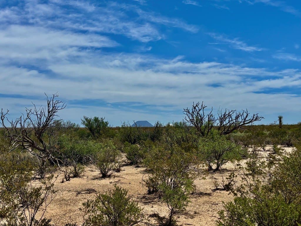 5 acres in Brewster County - photo 8