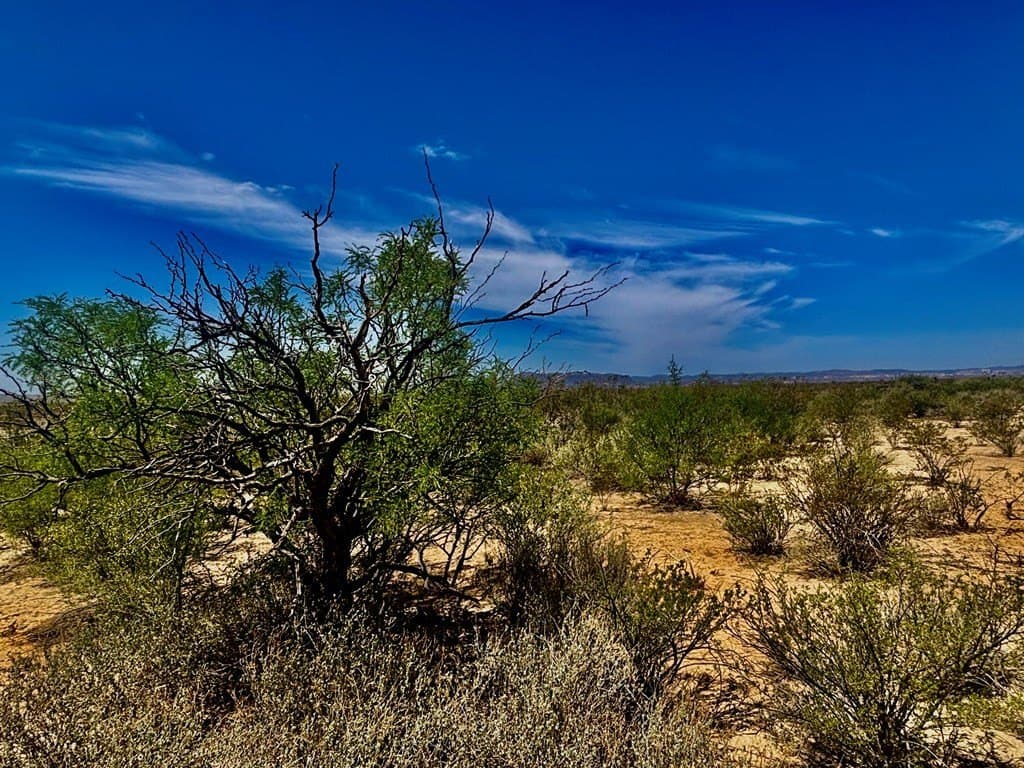 5 acres in Brewster County gallery image 2