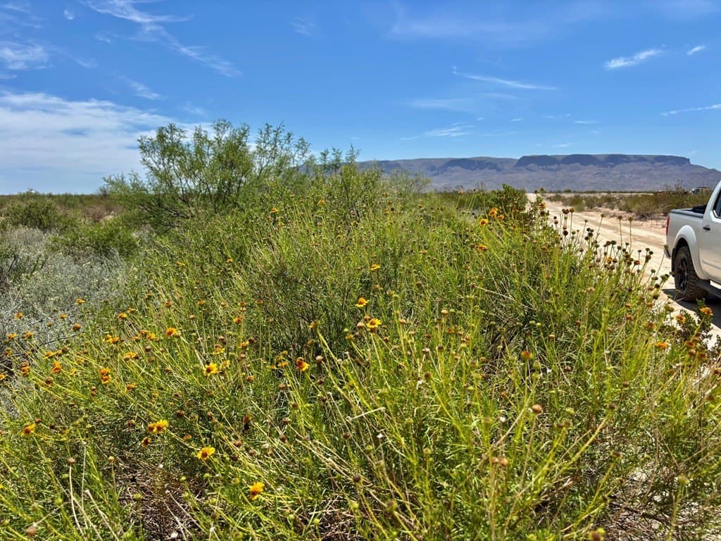 5 acres in Brewster County - photo 24