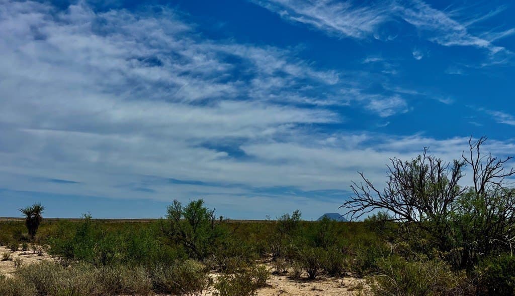 5 acres in Brewster County - photo 19
