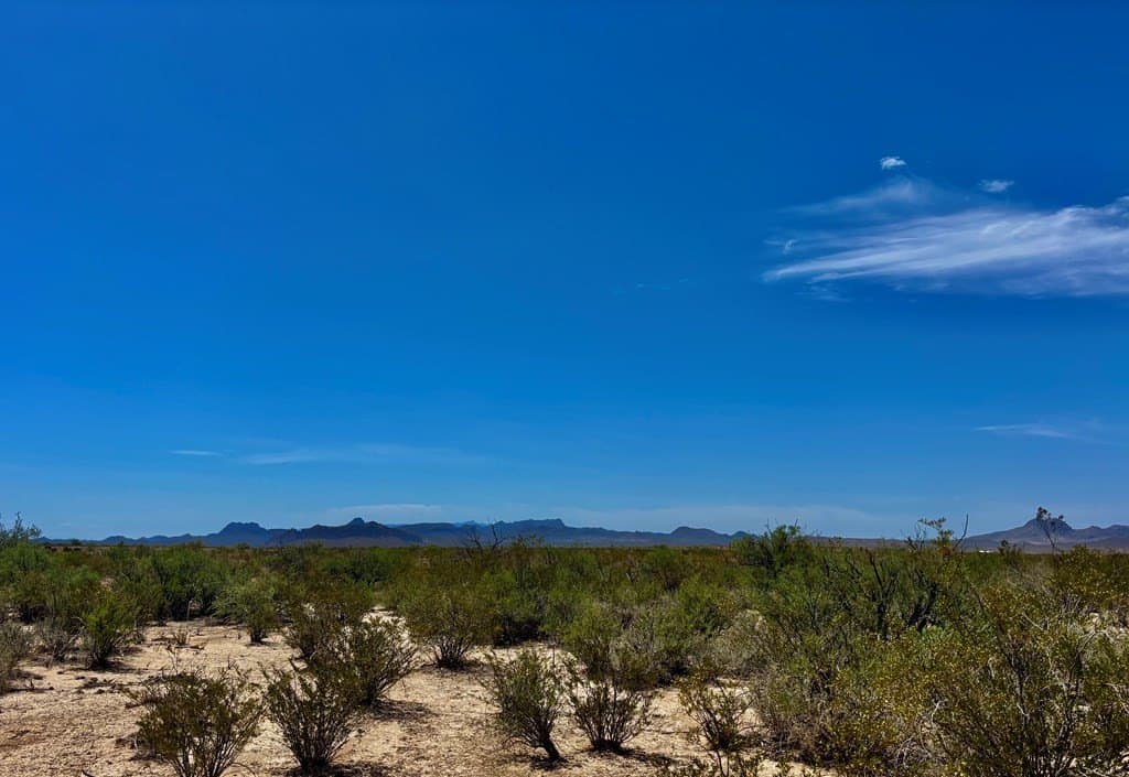 5 acres in Brewster County - photo 29
