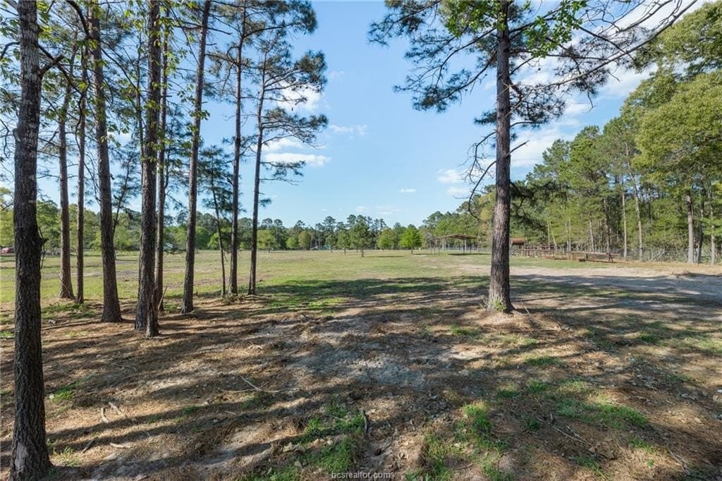 4.5 acres in Grimes County - photo 10