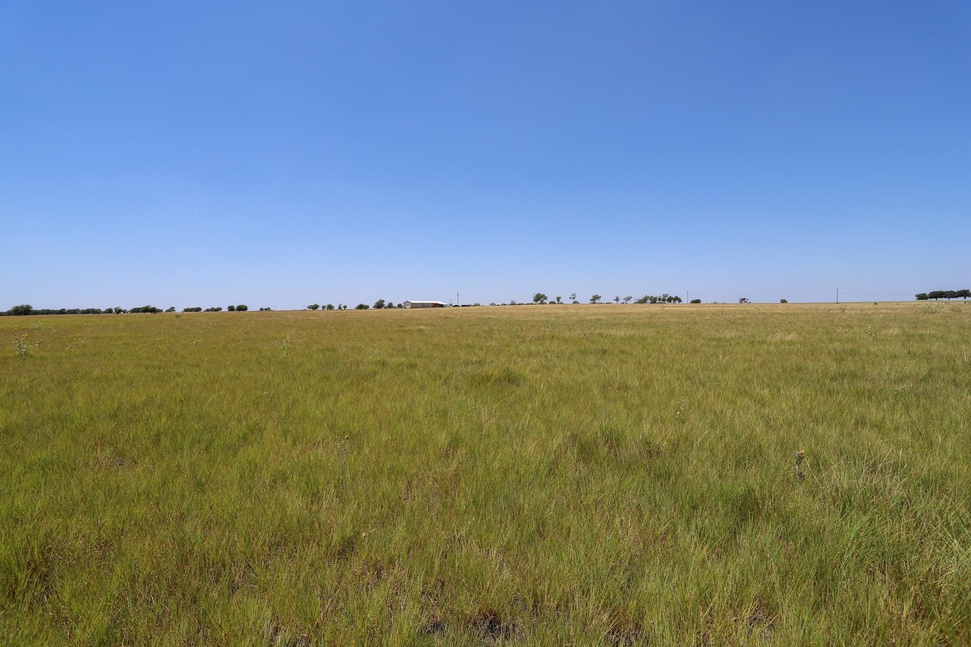 12 acres in McLennan County - photo 8