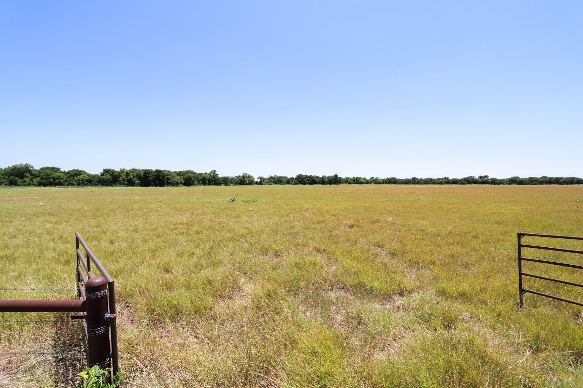 13 acres in McLennan County gallery image 4