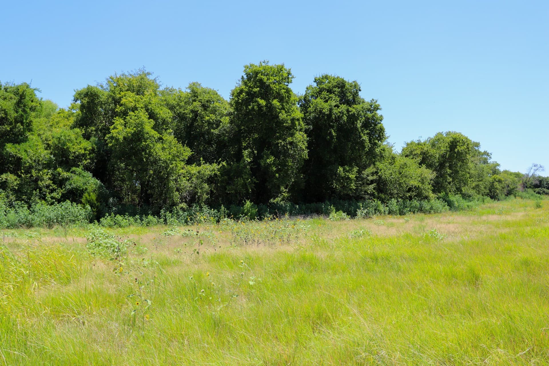 12 acres in McLennan County - photo 7