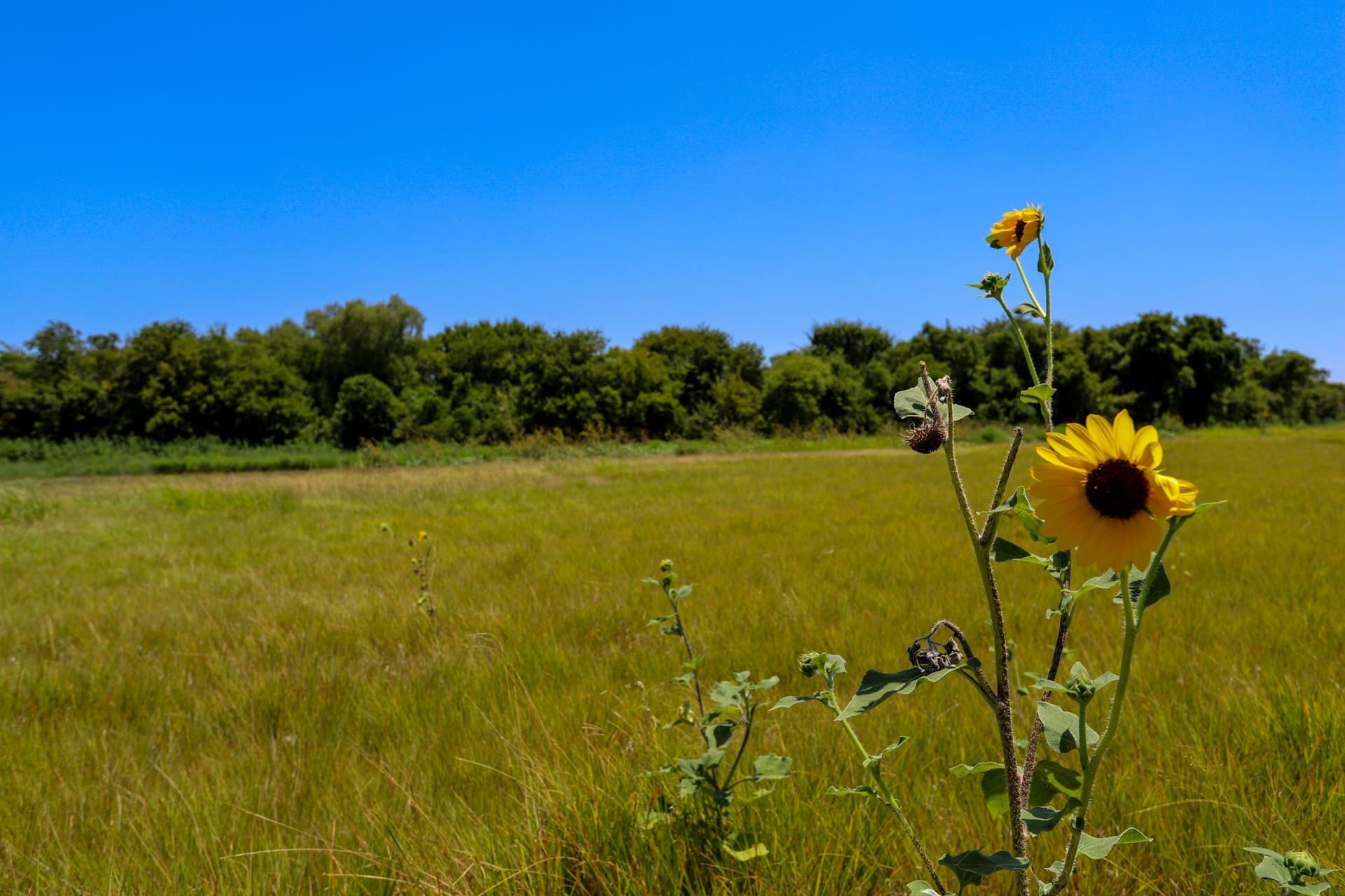 12 acres in McLennan County - photo 6
